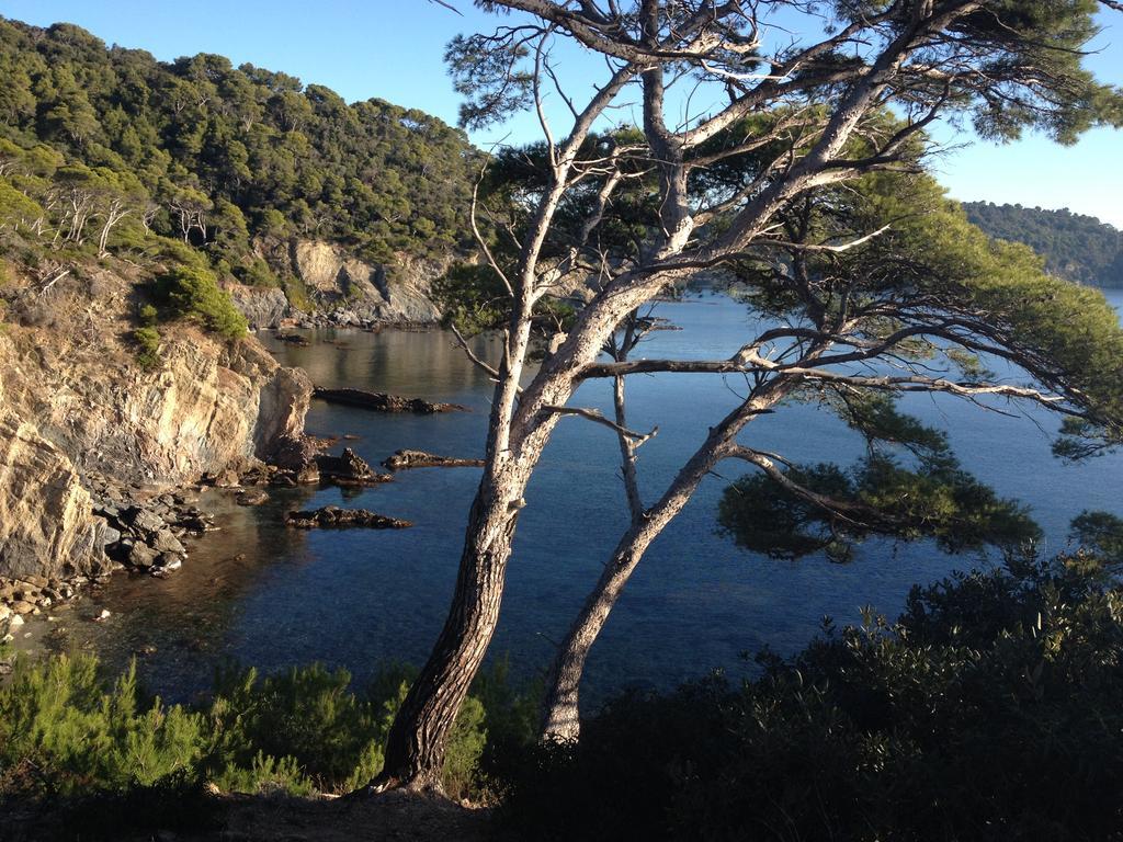 Appartements Les Pesquiers Hyeres Plage المظهر الخارجي الصورة