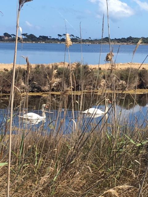 Appartements Les Pesquiers Hyeres Plage المظهر الخارجي الصورة
